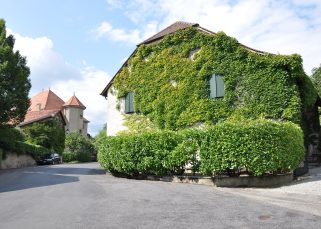 Idées créatives pour la décoration des murs extérieurs
