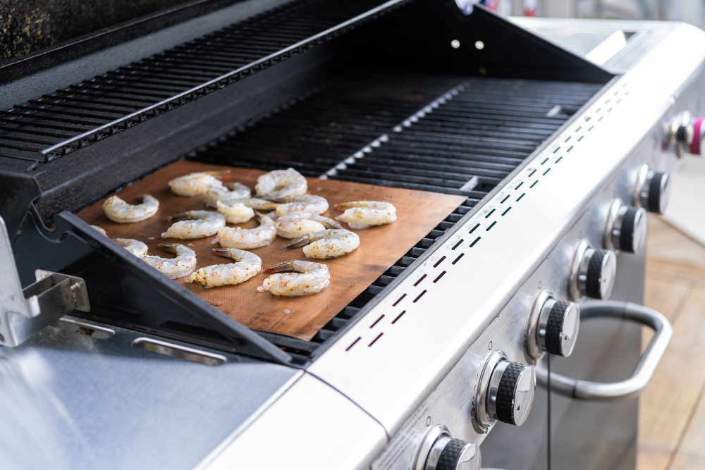 appareil entre Plancha à gaz ou électrique pour vos grillades